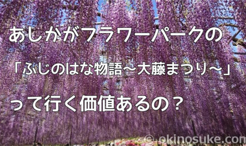 あしかがフラワーパークの「ふじのはな物語～大藤まつり～」って行く価値あるの？